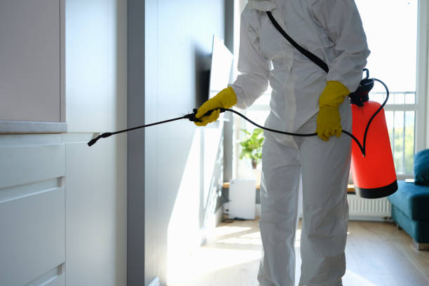 Best Toxic Mold Removal  in Fort Dix, NJ