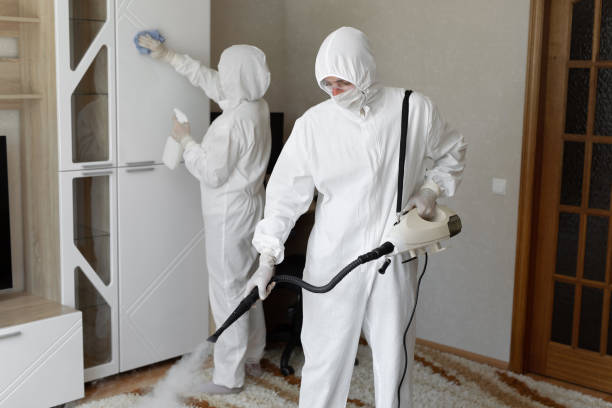 Mold Removal and Inspection in Fort Dix, NJ