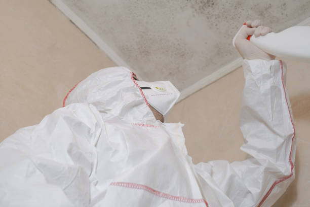 Best Attic Mold Removal  in Fort Dix, NJ