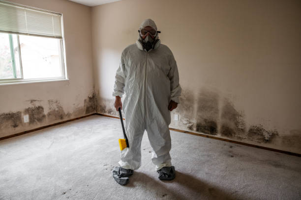 Best Same-Day Mold Removal  in Fort Dix, NJ